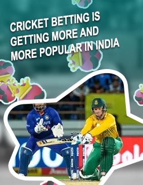 365 live cricket betting in India