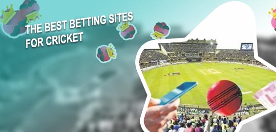 Best cricket betting website