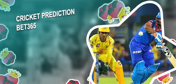 Bet365 cricket ipl