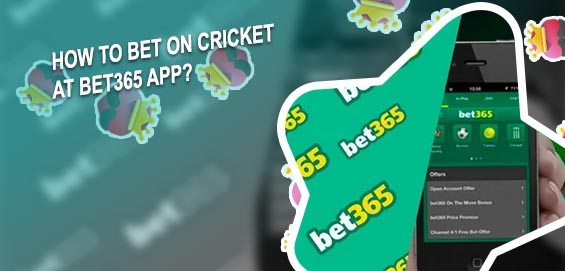 Bet365-mobile betting on cricket
