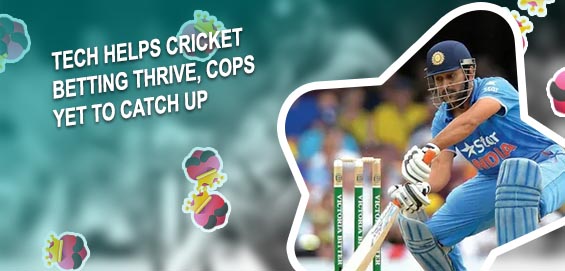 Betfair cricket india