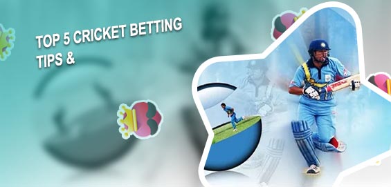 Cricket betting tipster