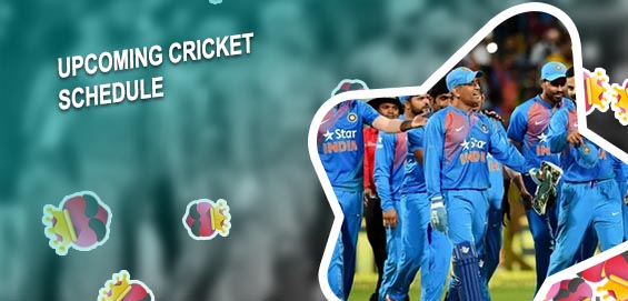 Cricket odds in play in India