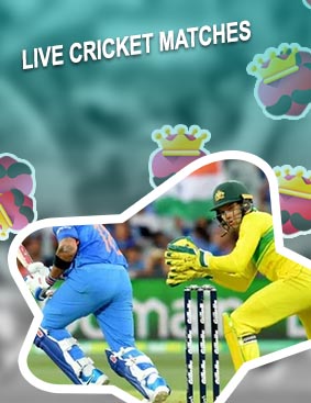 Cricket scores