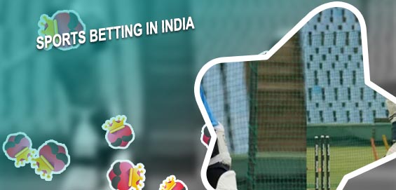How to make money in cricket betting in india India