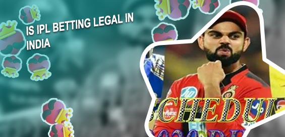 Online betting sites ipl