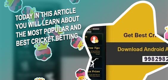 Online cricket betting apps in india