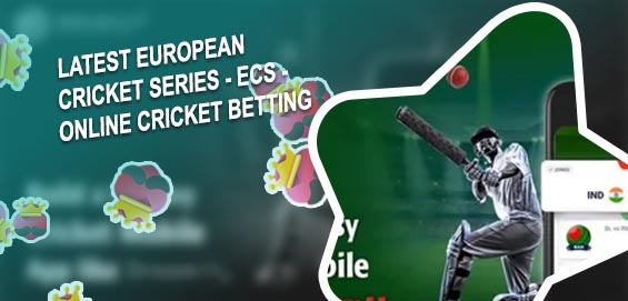 Online cricket fantasy betting