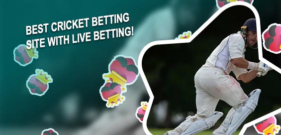 Sites for cricket betting