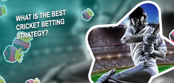 What is cricket betting